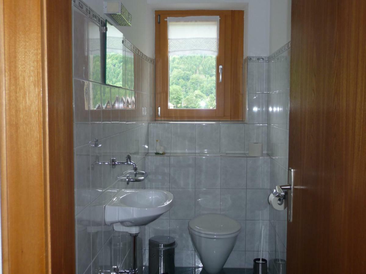 Ferienwohnung Annelies 379 Mellau Buitenkant foto