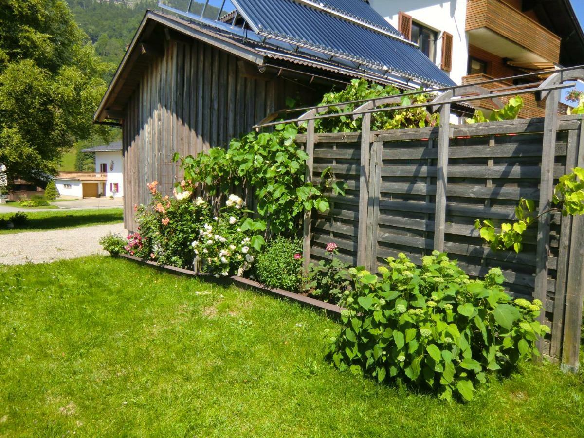 Ferienwohnung Annelies 379 Mellau Buitenkant foto